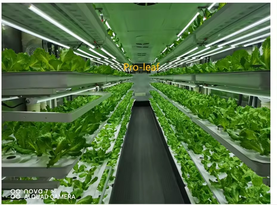 f Greenhouse Agricultural Equi - Agriculture Farming System ulasan dan harga