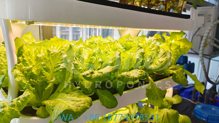 c Agriculture Machine to Growi - Agriculture Farming System ulasan dan harga