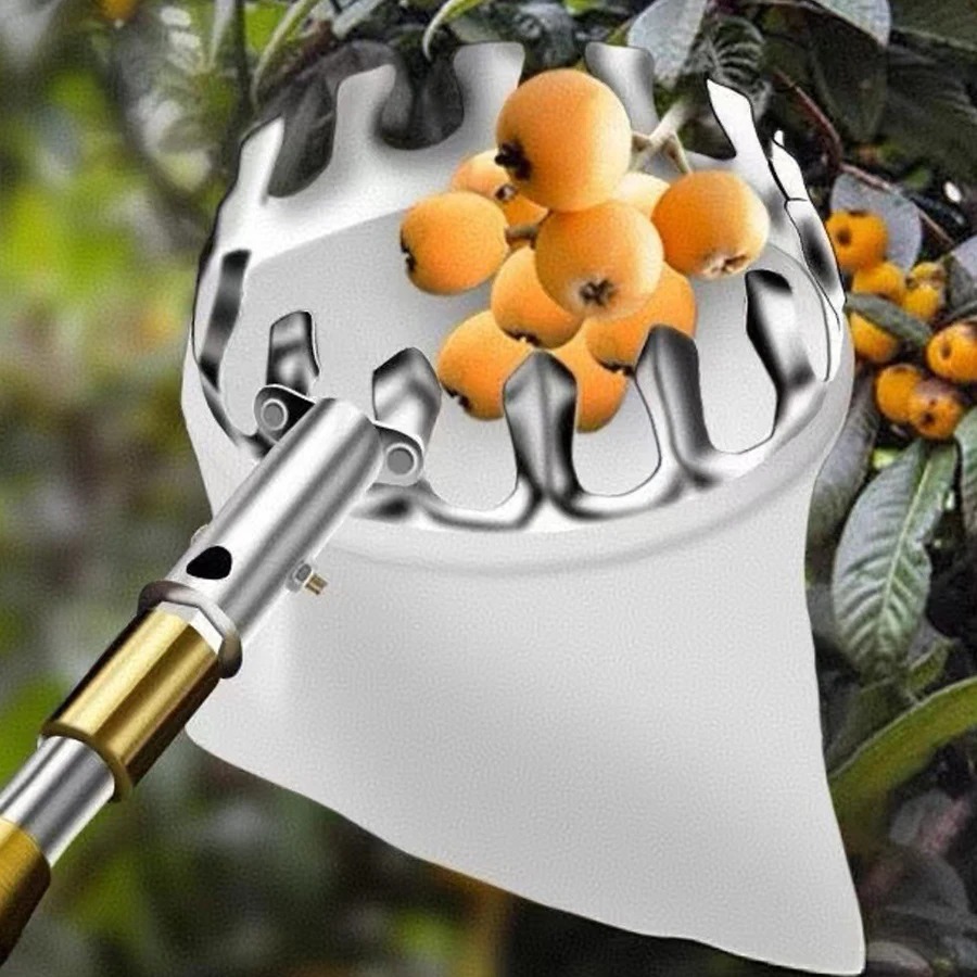 Professional Berry Picker Tool - Farming Tools For Agriculture ulasan dan harga