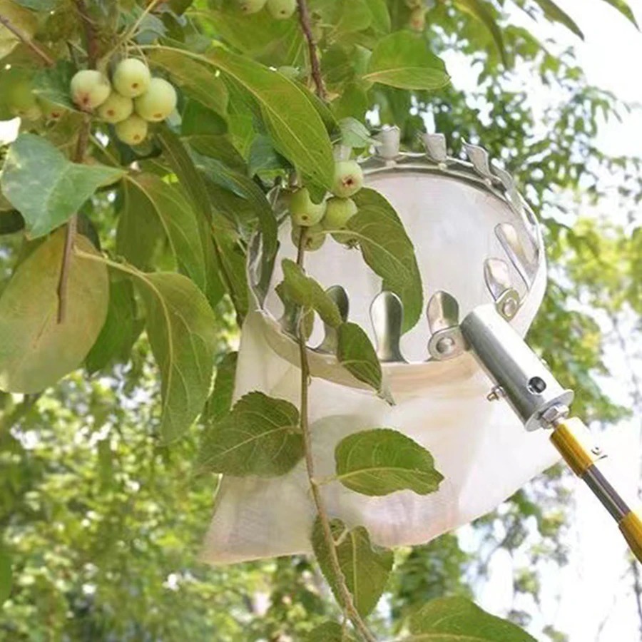 Professional Berry Picker Tool - Farming Tools For Agriculture ulasan dan harga