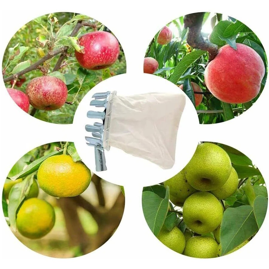 Professional Berry Picker Tool - Farming Tools For Agriculture ulasan dan harga
