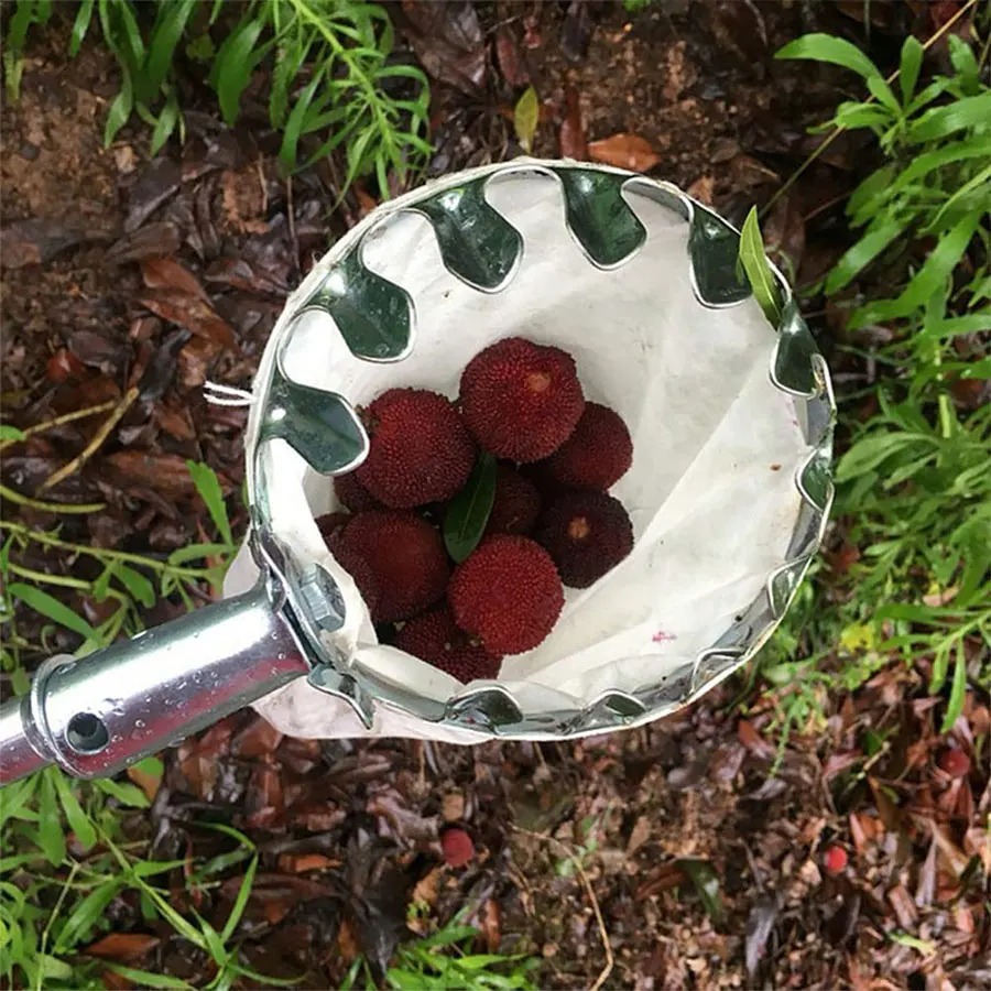 Professional Berry Picker Tool - Farming Tools For Agriculture ulasan dan harga