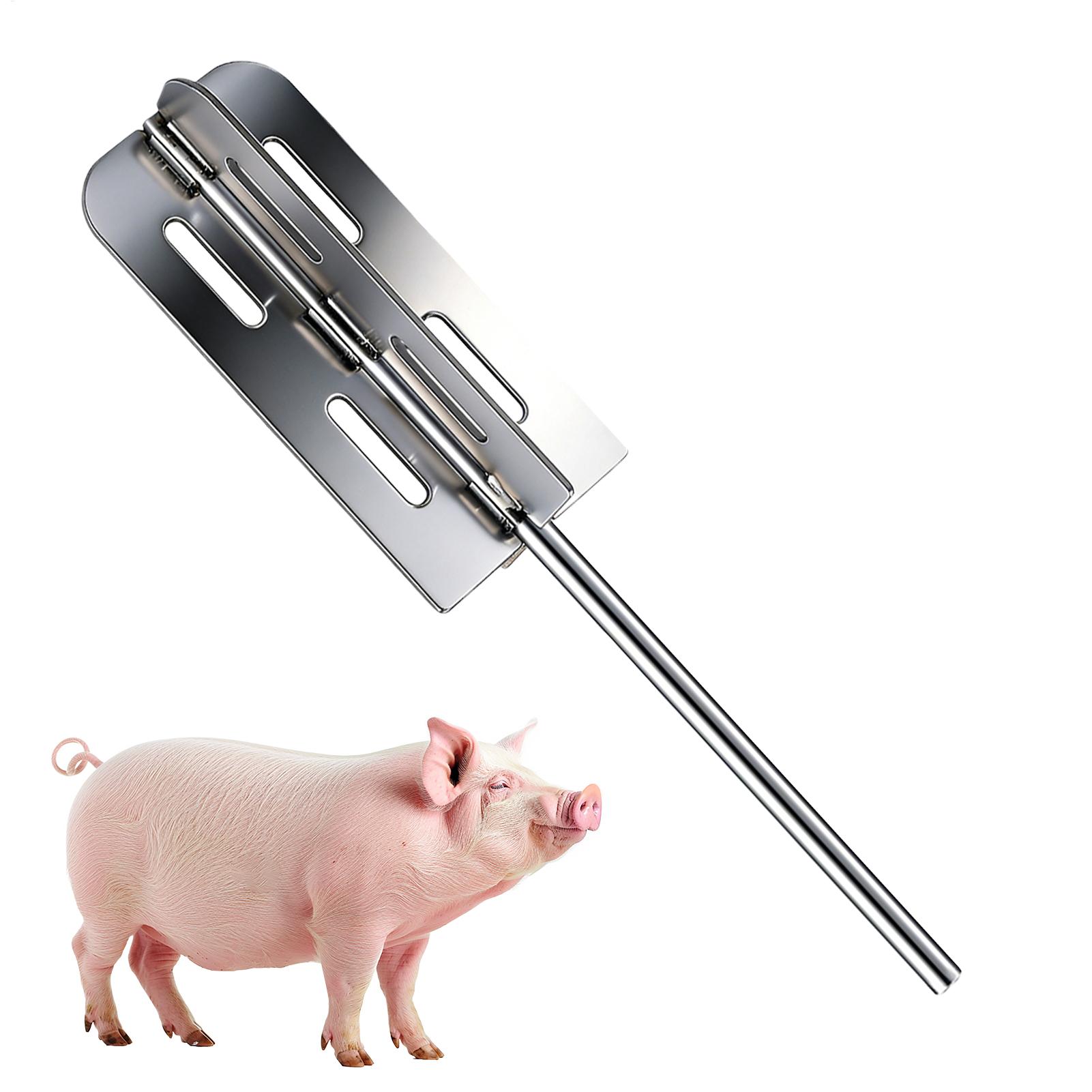 Hog Hair Removal Tool Stainles - Farming Tools For Agriculture ulasan dan harga