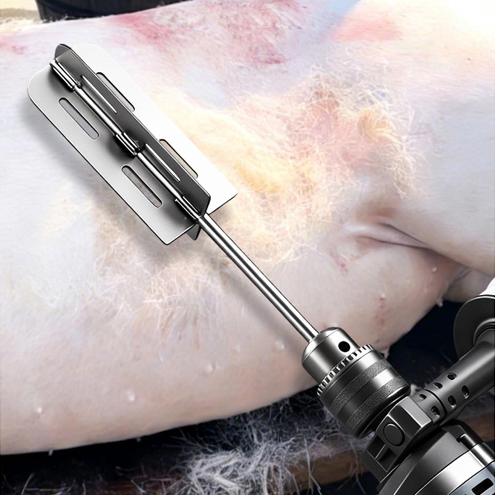Hog Hair Removal Tool Stainles - Farming Tools For Agriculture ulasan dan harga